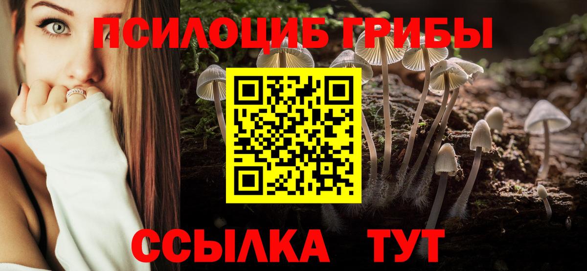 Галлюциногенные грибы мицелий  продажа наркотиков  Жигулёвск  Вход с VPN  Галлюциногенные грибы MAGIC MUSHROOMS 