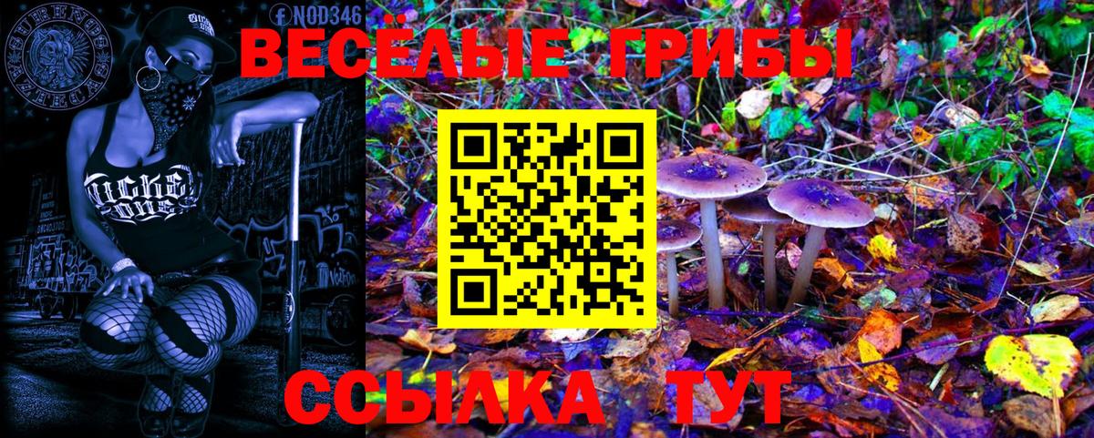 Псилоцибиновые грибы мухоморы Жигулёвск